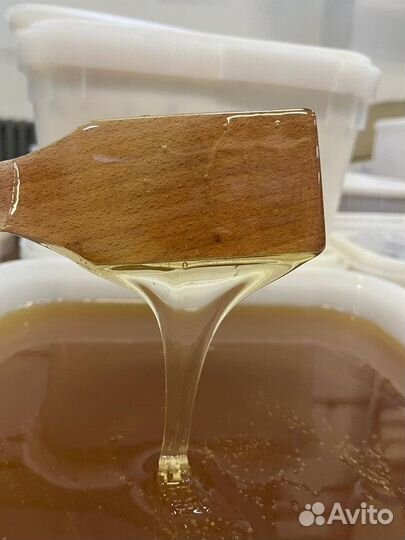 Мед липовый оптом