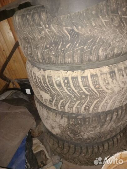 Winter Tact Nord Frost 3 185/55 R15