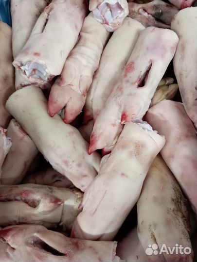 Свиные ноги оптом