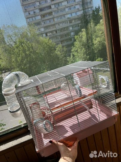 Клетка для грызунов бу