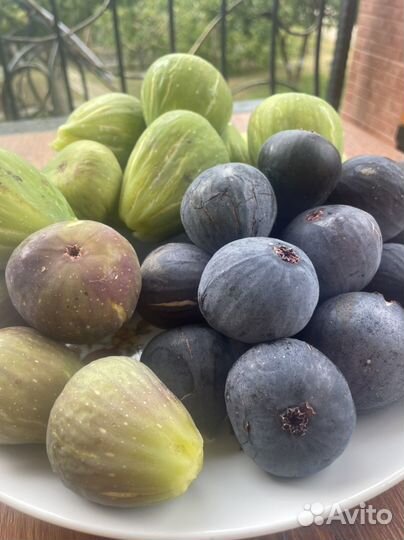 Инжир со своего сада сушеный