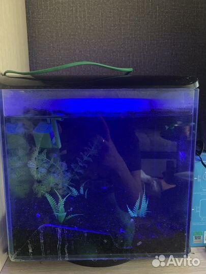 Аквариум