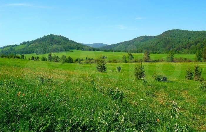 Участок 28 га (СНТ, ДНП)