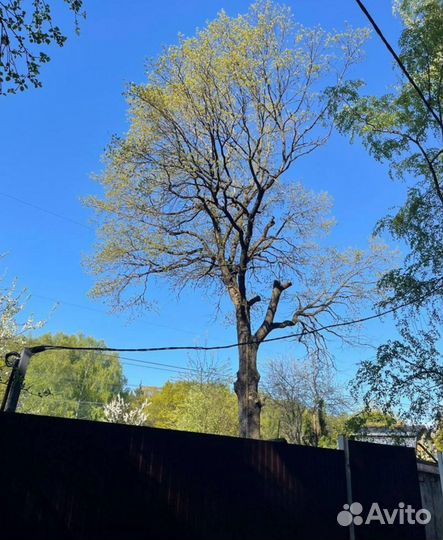 Удаление деревьев / Расчистка участков