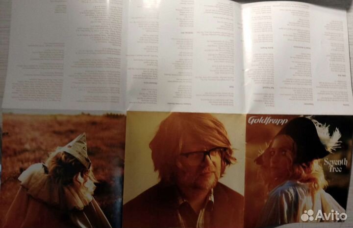 CD диск, Goldfrapp 