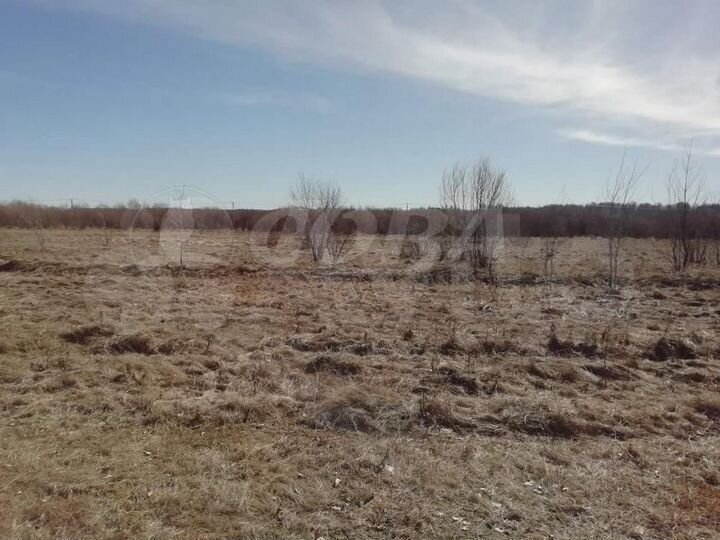 Участок 7,84 га (СНТ, ДНП)