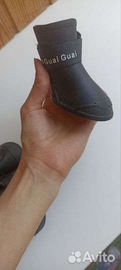 Обувь для собак