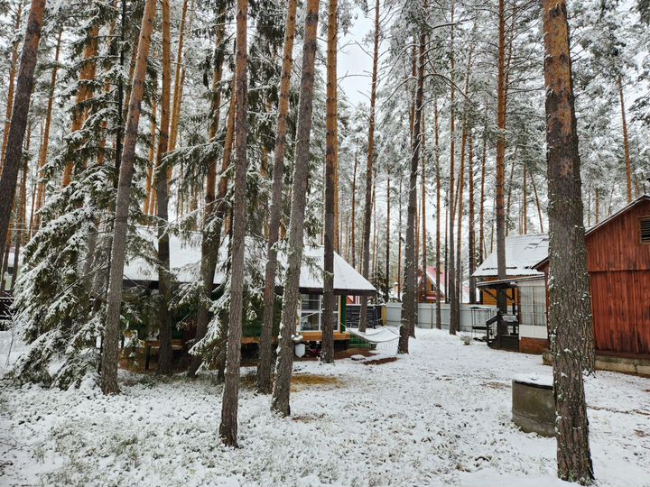 Дача 115 м² на участке 12 сот.