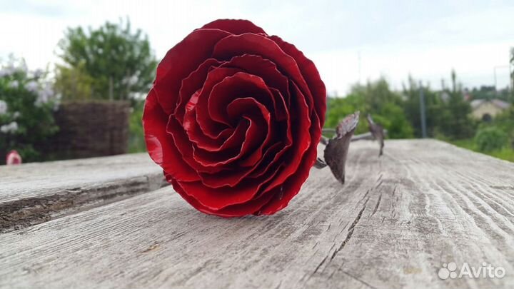 Роза кованая