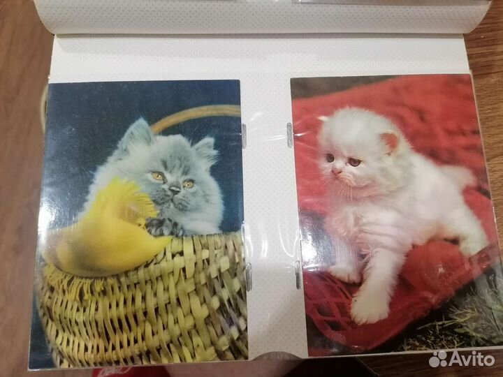 Открытки СССР с котами