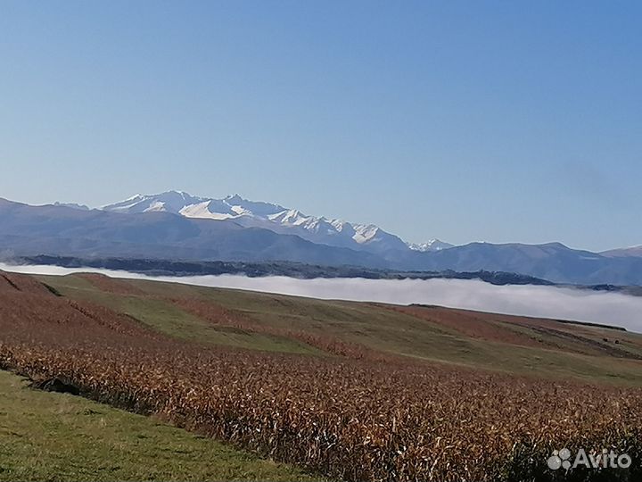 Трансфер, межгород, экскурсии