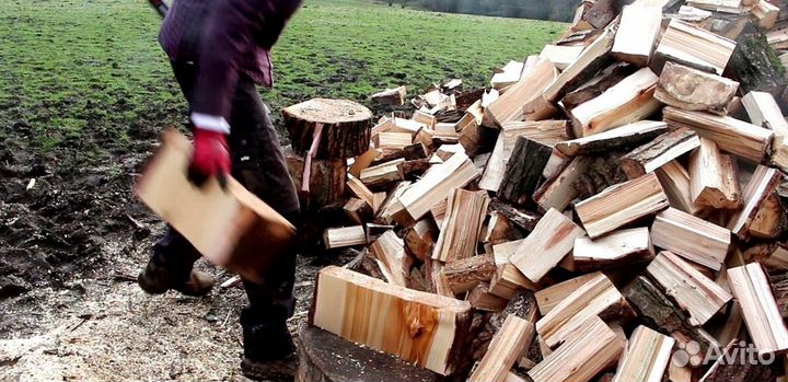 Дрова в город