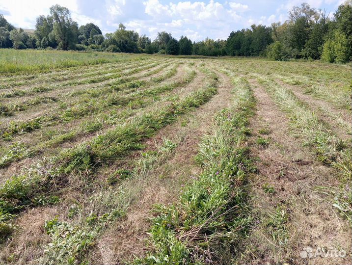 Сено луговое