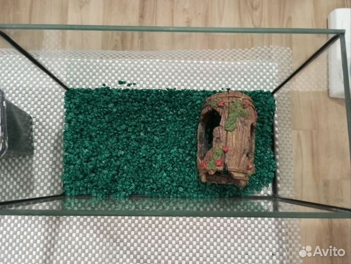 Аквариум с рыбкой