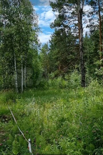 Участок 13,4 сот. (СНТ, ДНП)