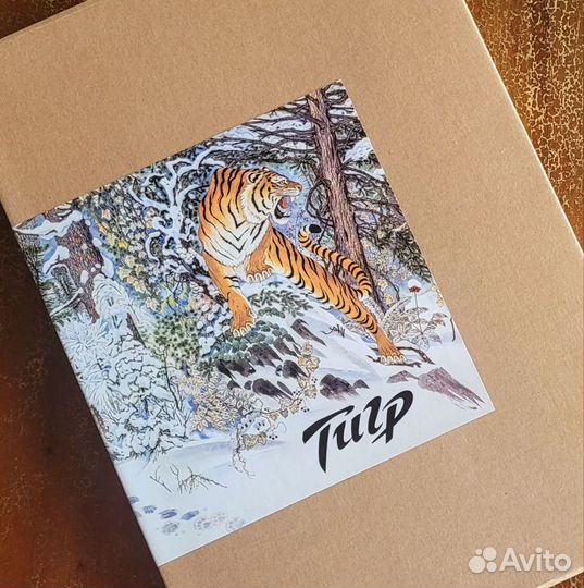 Тигр книга альбом с иллюстрациями