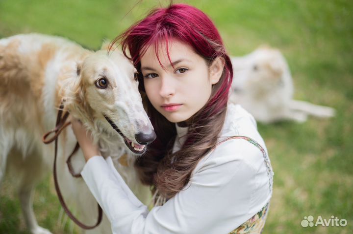 Фотосессия с борзыми