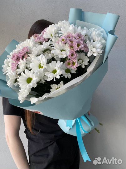 Хризантема кустовая