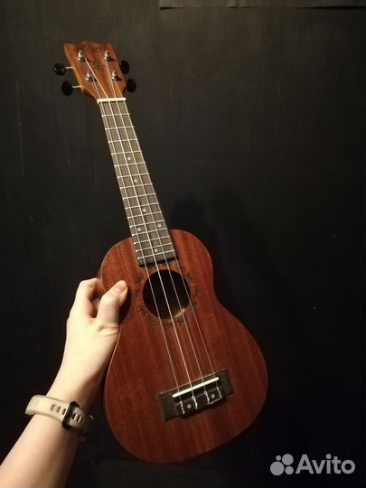 Укулеле Ariesi Gecko SU-021BG