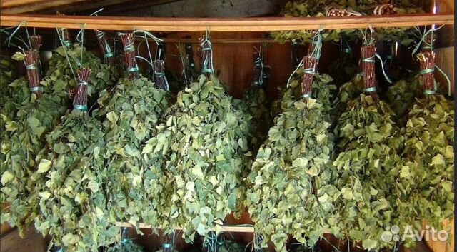 Веники для бани