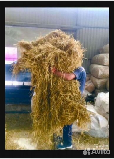 Солома для мульчирования