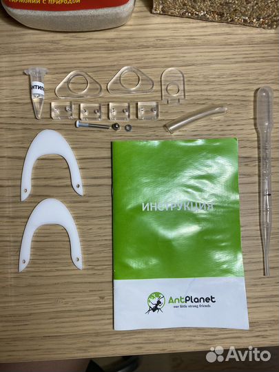 Муравьиная ферма + комплект + муравьи