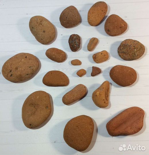 Дрифтвуд, коряги, камни, стекло, ракушки, плитка