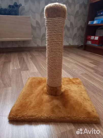 Когтеточка