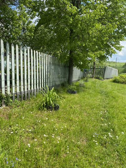 Участок 11 сот. (СНТ, ДНП)