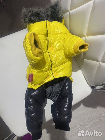 Костюм зимний для собак