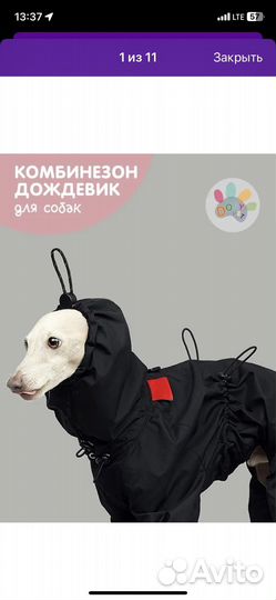 Дождевик для собак