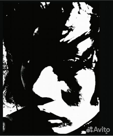 Daido Moriyama. A Retrospective. Дайдо Морияма