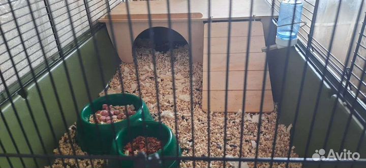 Клетка для грызунов