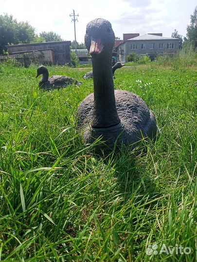 Чучела гусиные