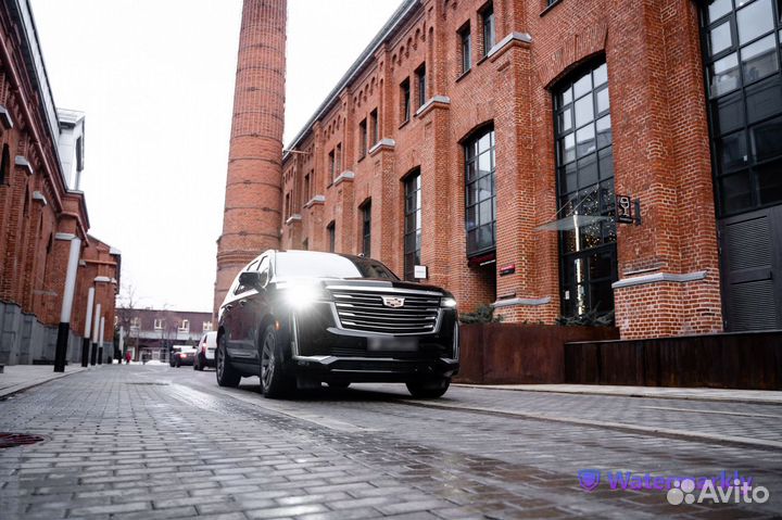 Аренда Cadillac Escalade без водителя