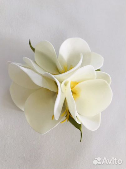 Гавайский цветок