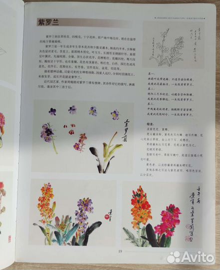 Цветы в китайской живописи