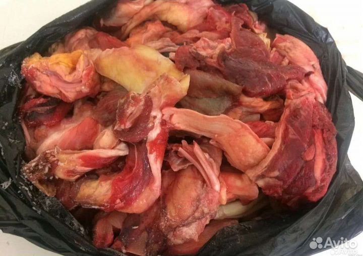 Обрезь для собак