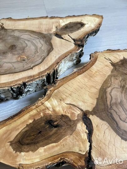 Поперечные спилы березы