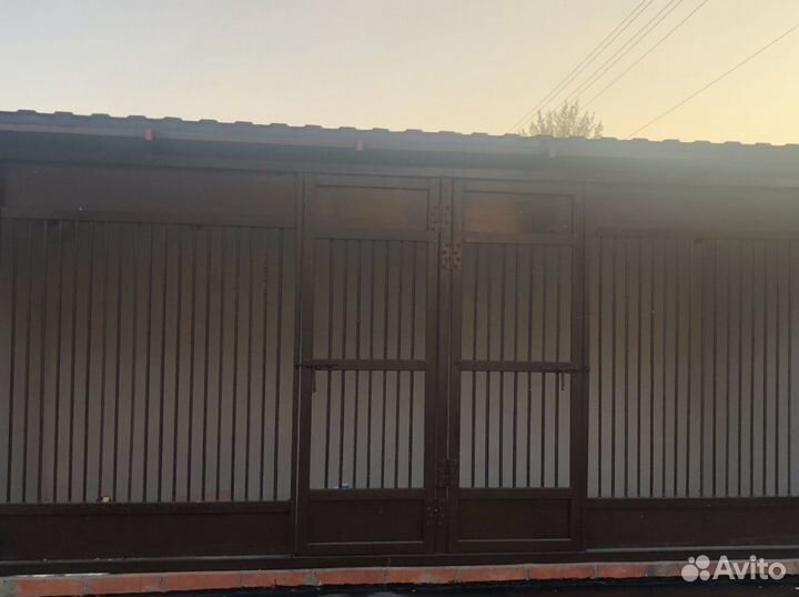 Передержка собак и кошек всех пород