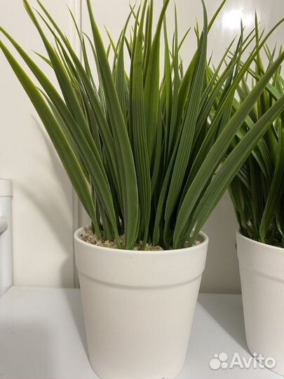 Искусственные цветы зелень осока как из IKEA