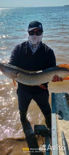 Рыбалка с гидом там где клюет