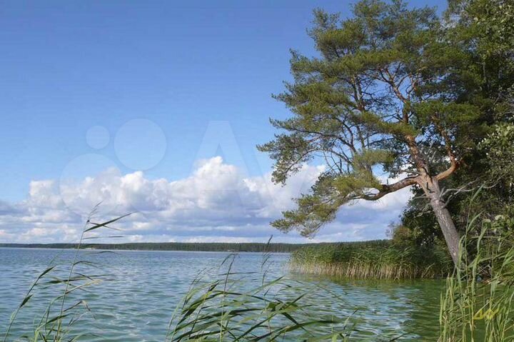 Участок 9,9 сот. (ИЖС)