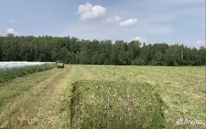 Заготовим сено