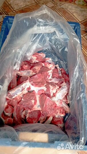 Продаю корм для собак