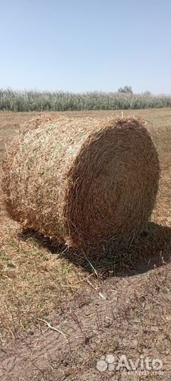 Гороховая солома