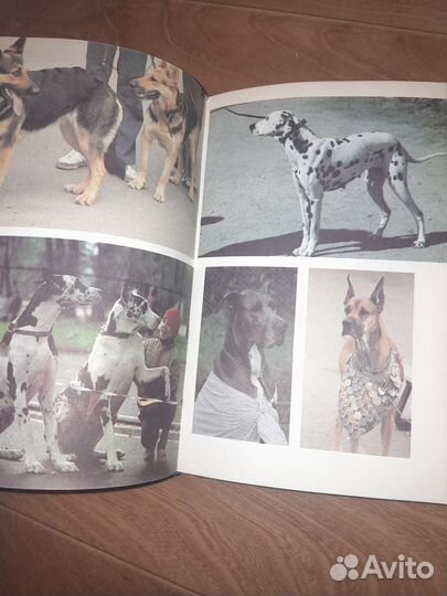 Книга Ваши четвероногие друзья