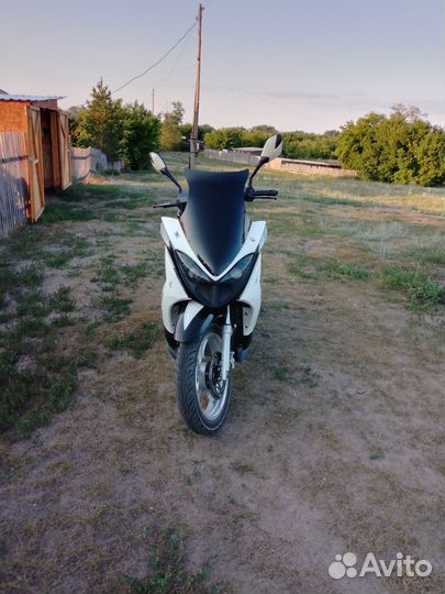 Продам рейсер дракон