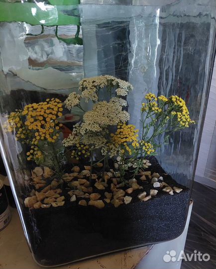 Стеклянная колба / ваза / из толстого стекла