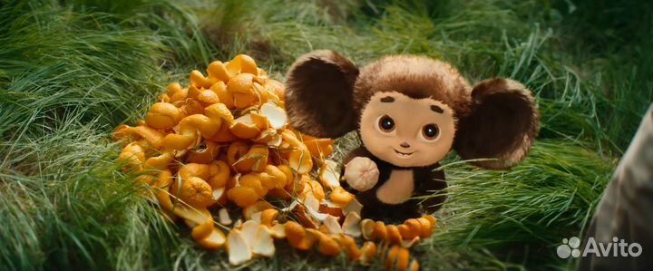 Билеты в кинотеатры Москвы за 1/2